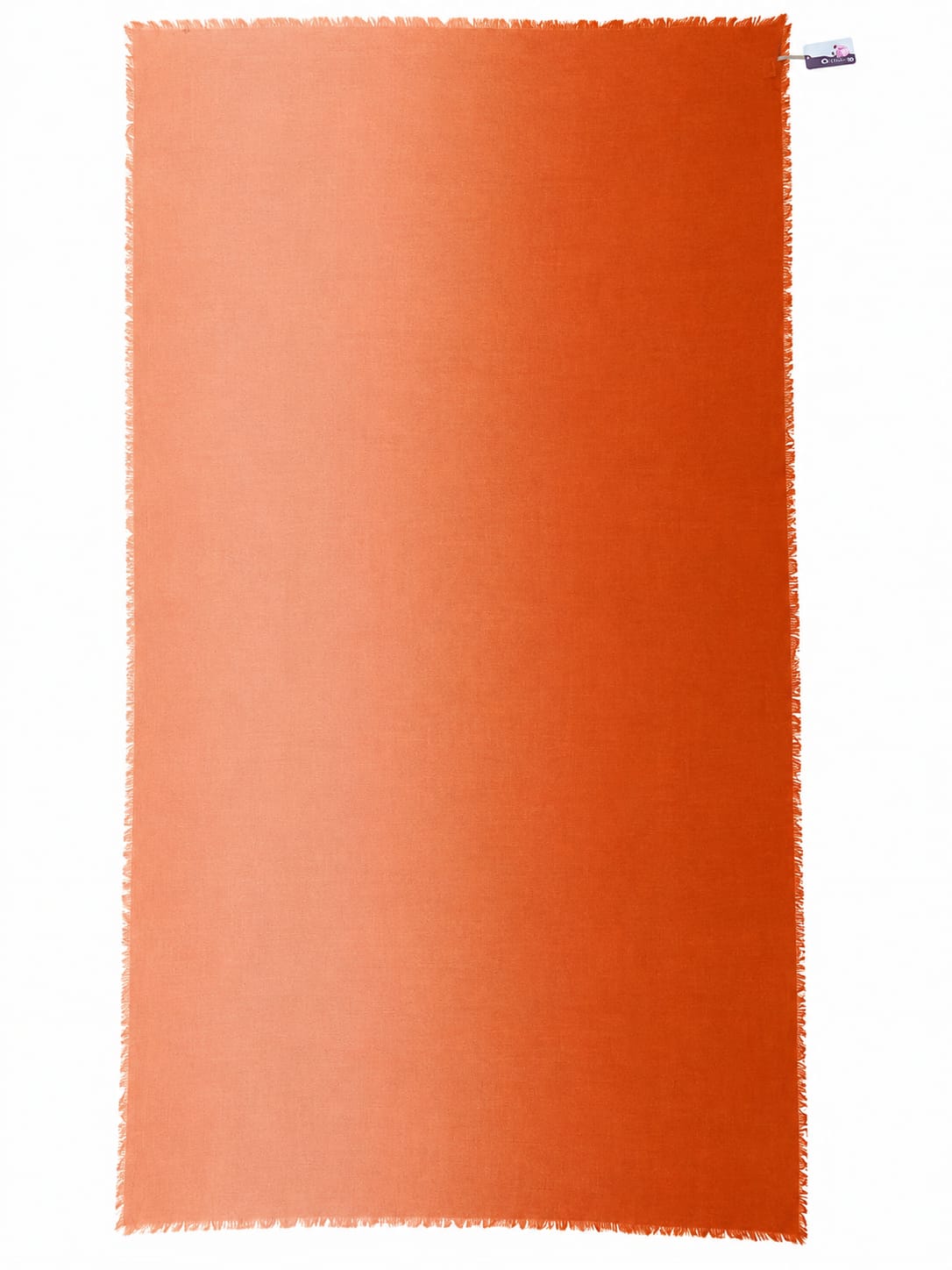Sciarpa Pisa